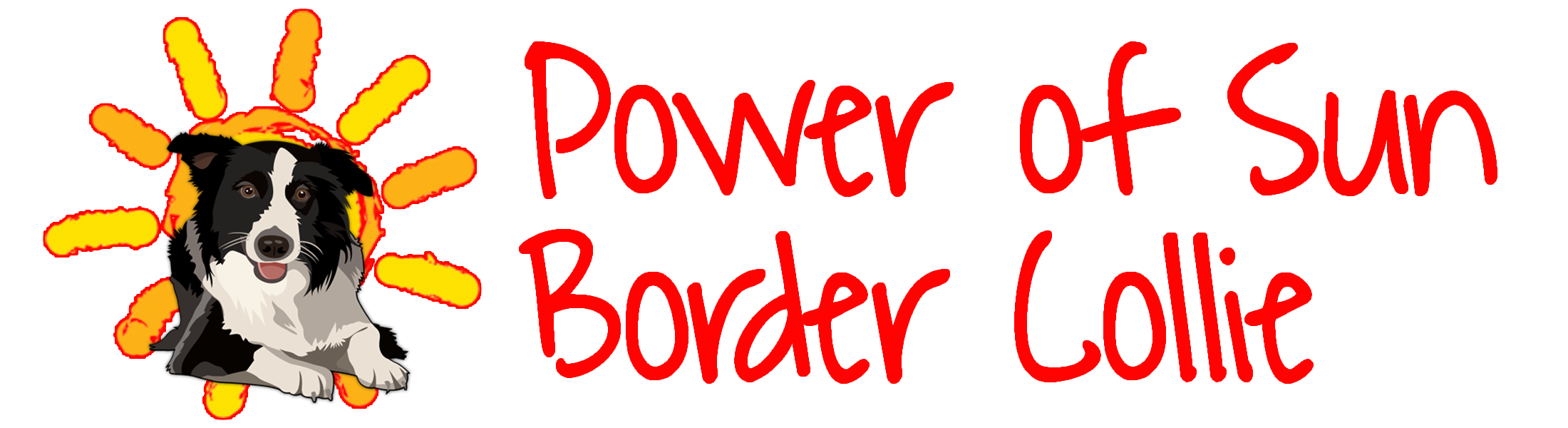 Power Of Sun Border Collie